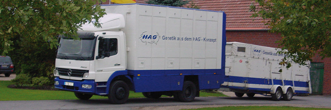 Transport
